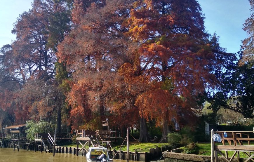 Tigre Delta of Buenos Aires in private car with navigation