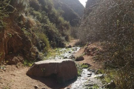 Hiking in QUEBRADA DE LOS BERROS