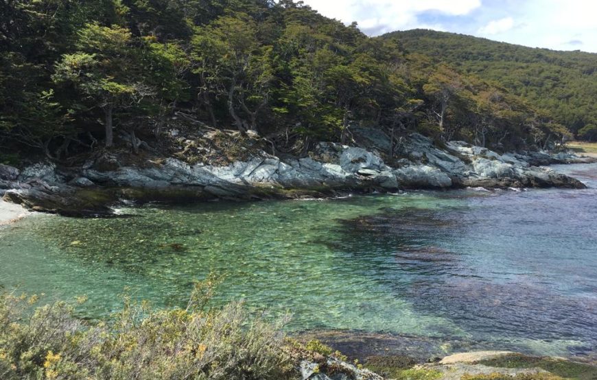 TIERRA DEL FUEGO NATIONAL PARK HALF DAY HIKING TOUR