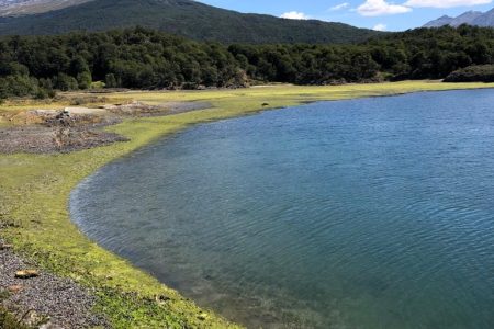 TIERRA DEL FUEGO NATIONAL PARK HALF DAY HIKING TOUR