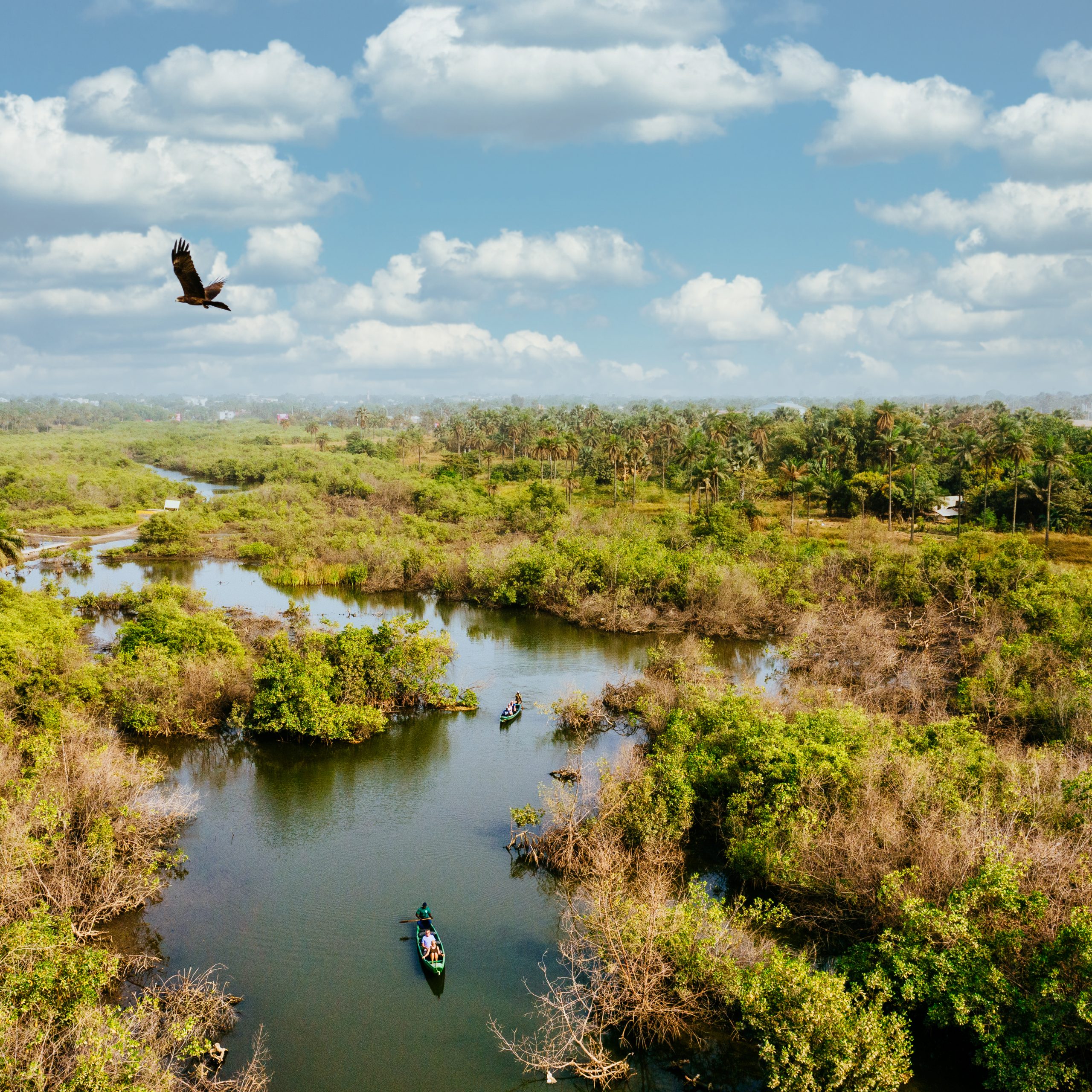 Bird's eye view of a wetland with people riding on boats and enjoying nature.